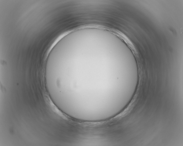 X0000090960860200708021120