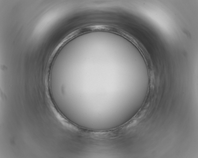 X0000090960861200708021120