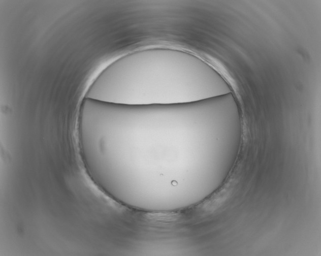 X0000090960863200708021120