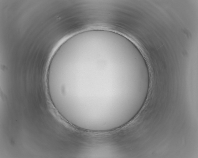 X0000090960864200708021120