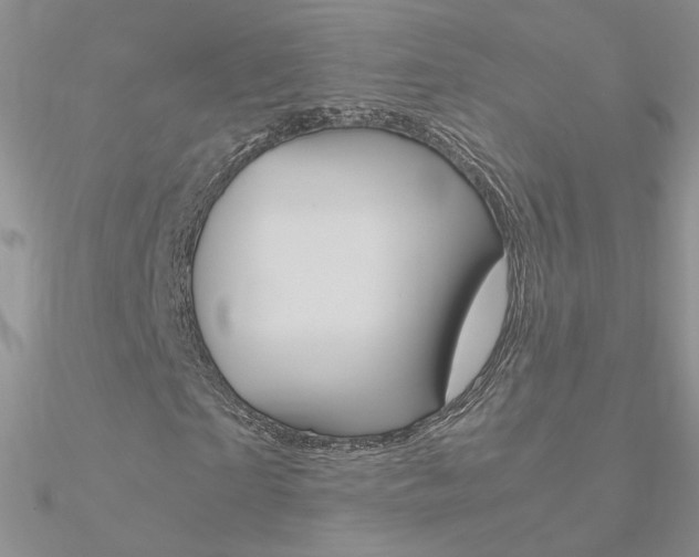 X0000090960865200708021119