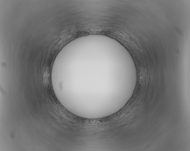 X0000090960866200708021119