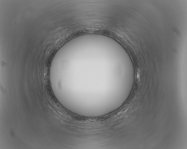 X0000090960867200708021119