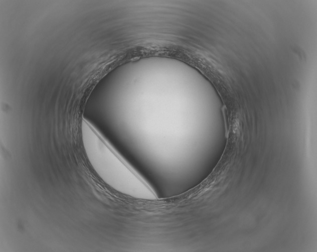 X0000090960868200708021119
