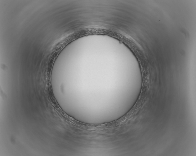 X0000090960870200708021119