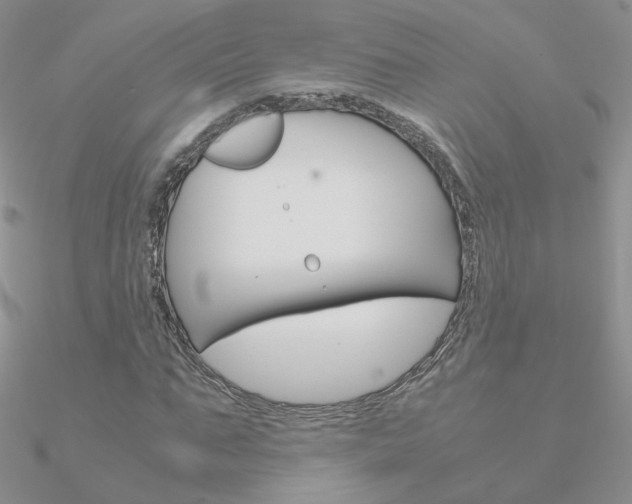 X0000090960871200708021119