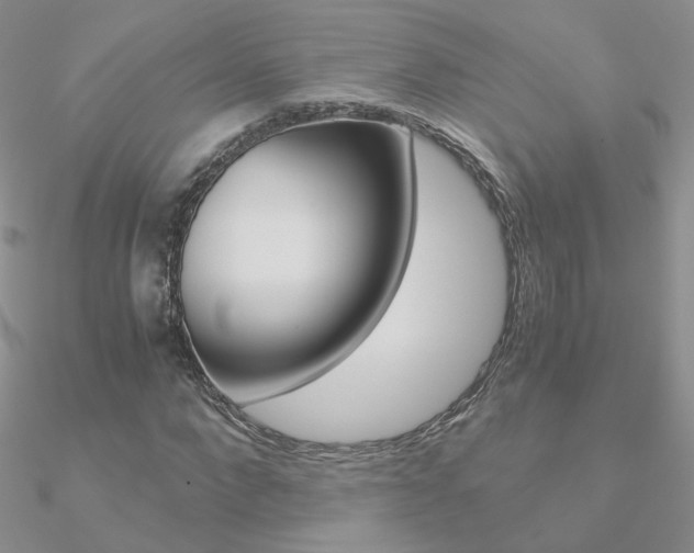 X0000090960872200708021119