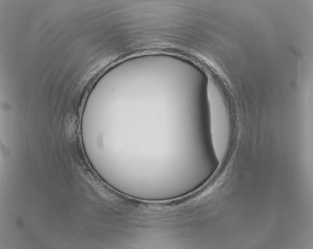 X0000090960873200708021119