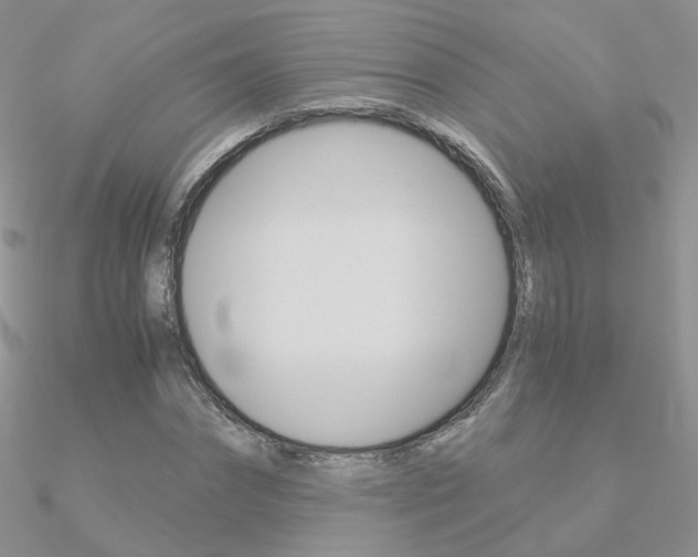 X0000090960874200708021119