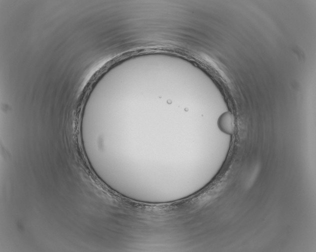 X0000090960875200708021119