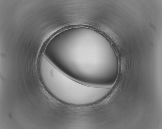 X0000090960876200708021119