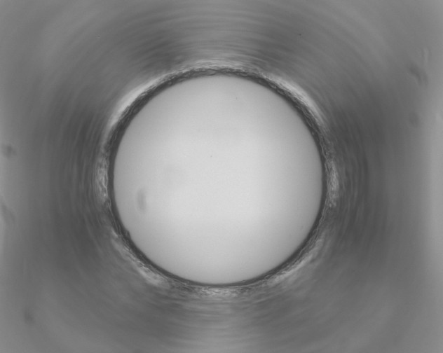 X0000090960878200708021119