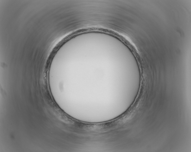 X0000090960879200708021119