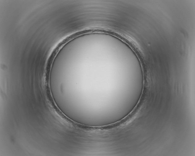 X0000090960880200708021119