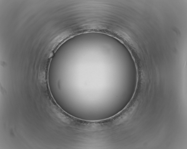 X0000090960881200708021119