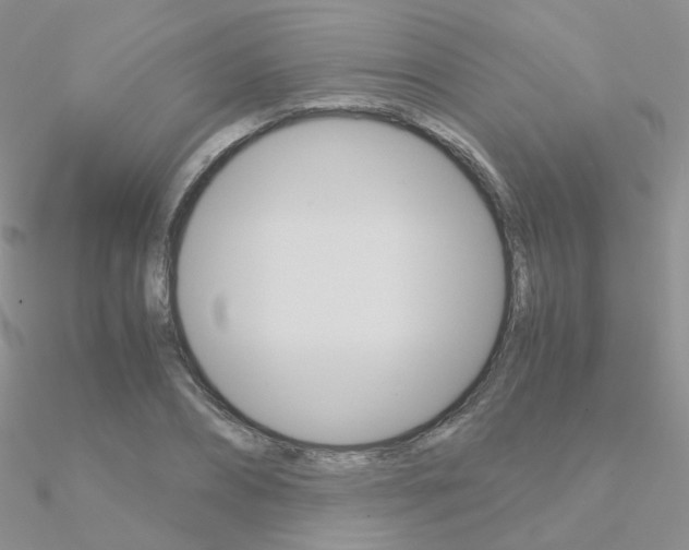X0000090960882200708021119