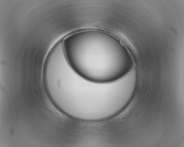 X0000090960884200708021119