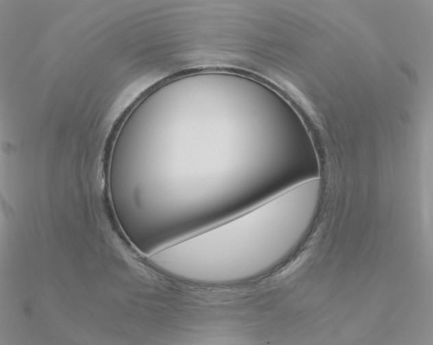 X0000090960885200708021119
