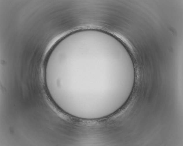 X0000090960886200708021119