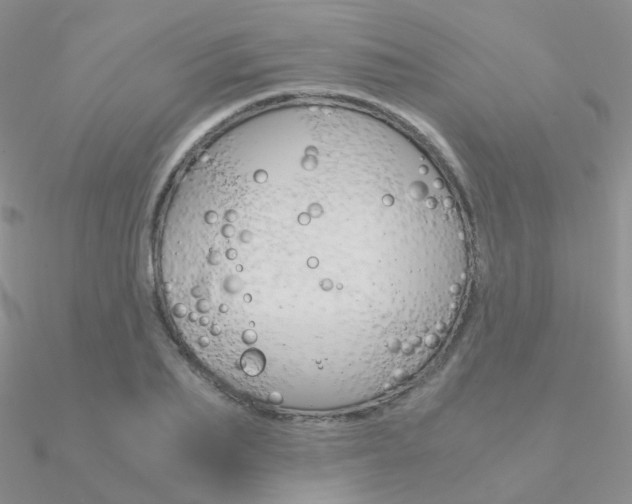 X0000090960887200708021119