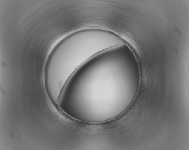 X0000090960888200708021119