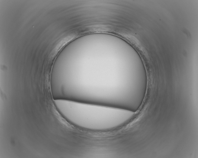 X0000090960889200708021119