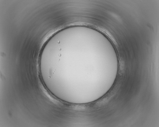 X0000090960890200708021119