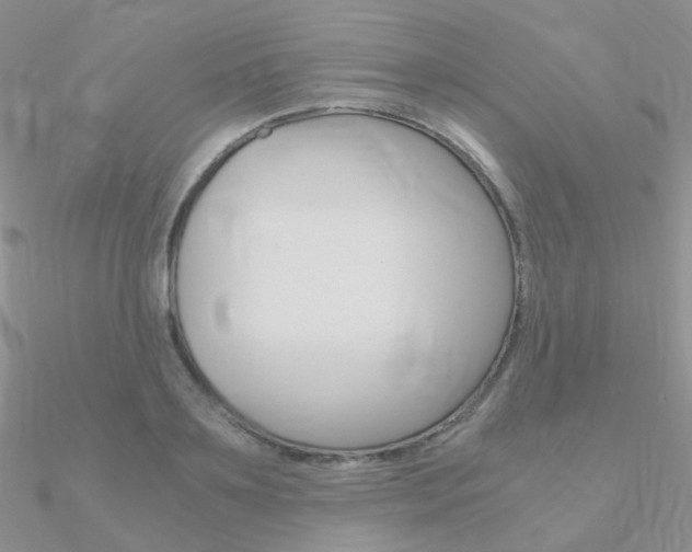 X0000090960891200708021119