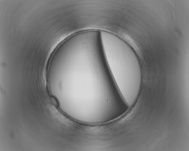 X0000090960892200708021119