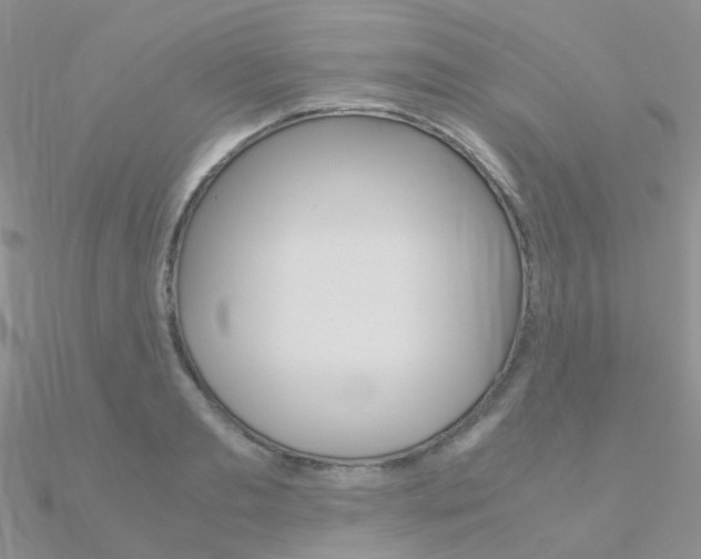 X0000090960893200708021119