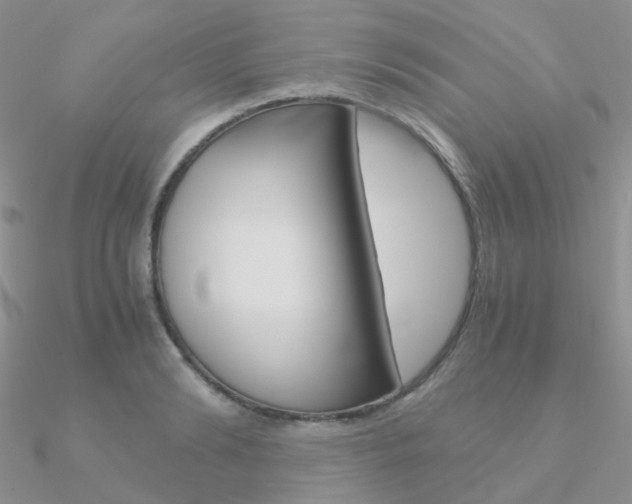 X0000090960894200708021119