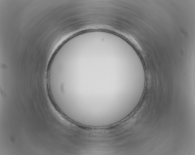X0000090960895200708021119