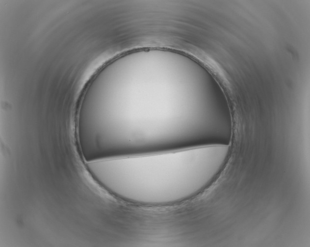 X0000090960896200708021119