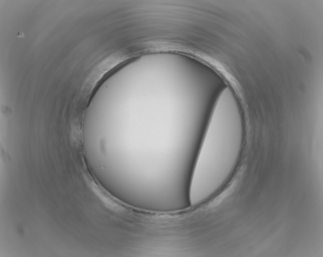 X0000090960897200708021119