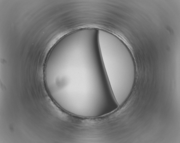 X0000090960898200708021119