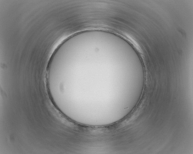 X0000090960899200708021119