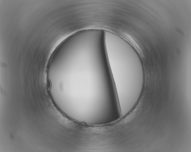 X0000090960900200708021119