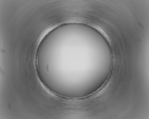 X0000090960901200708021119