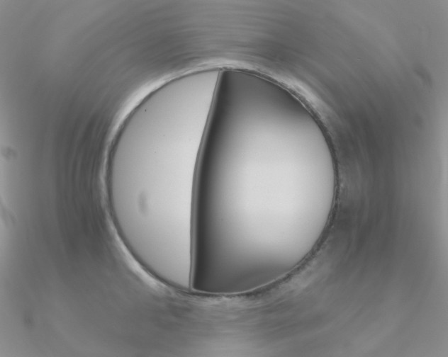 X0000090960902200708021119
