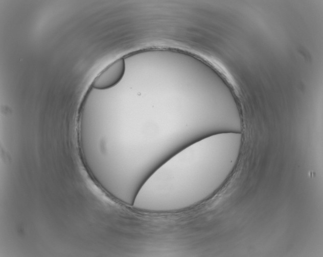 X0000090960903200708021119