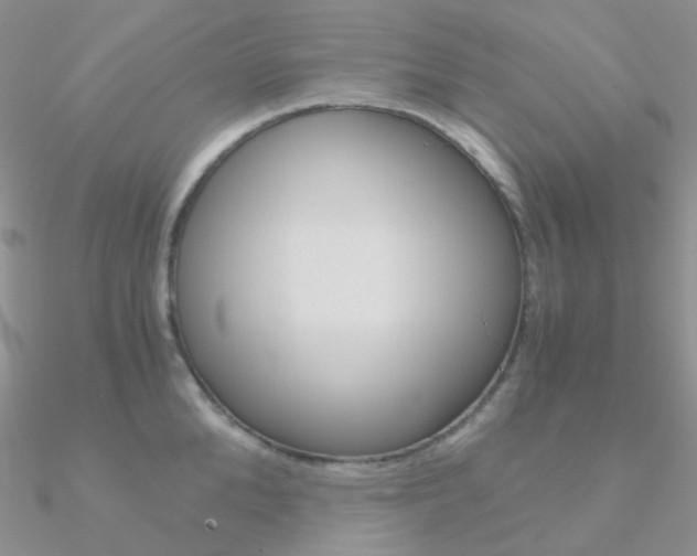 X0000090960904200708021119