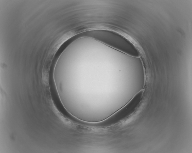X0000090960905200708021119