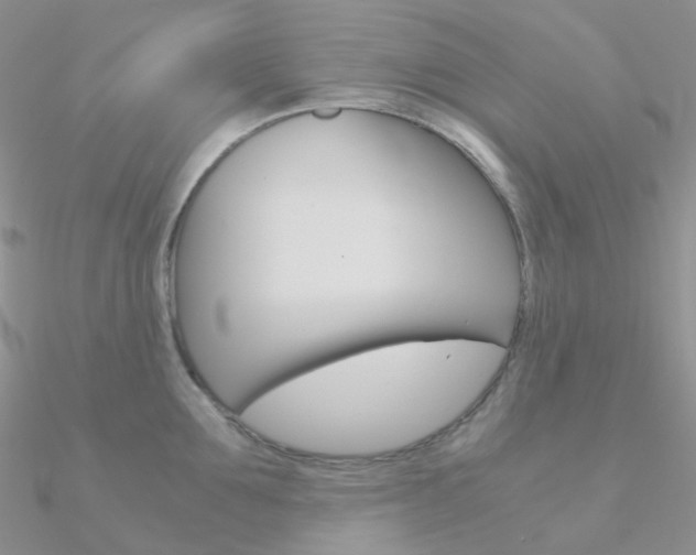 X0000090960907200708021119