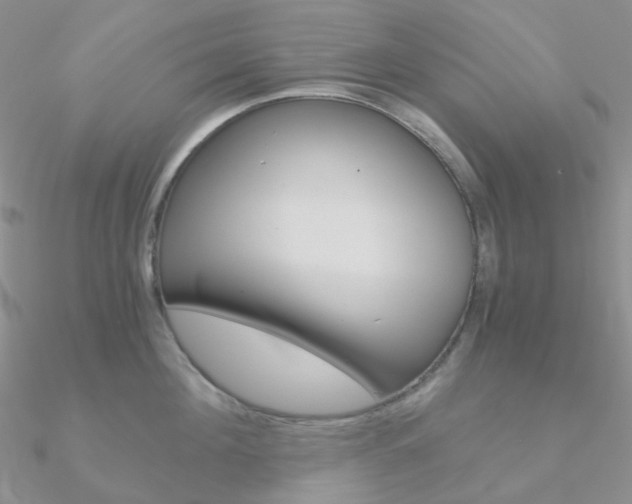 X0000090960908200708021119