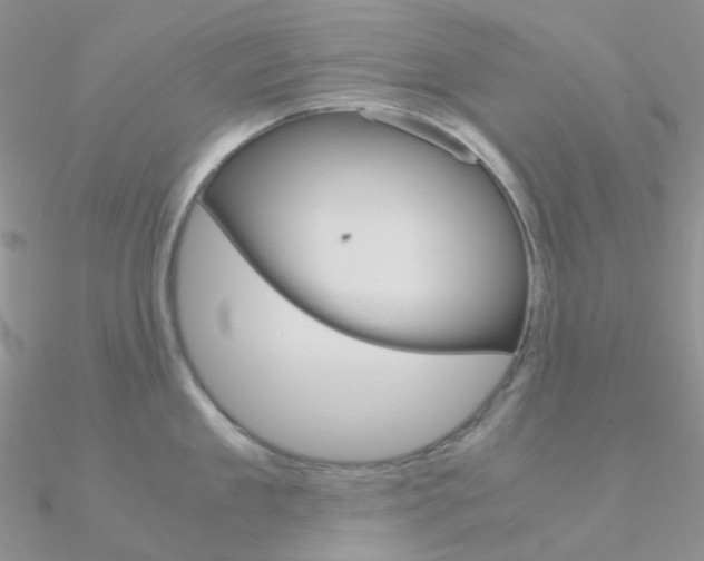 X0000090960909200708021119