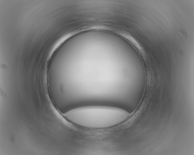 X0000090960910200708021119