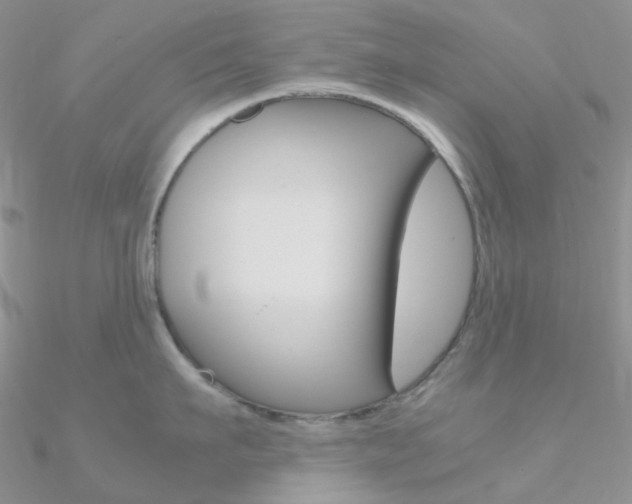 X0000090960911200708021119