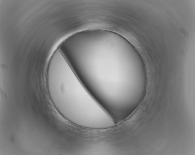X0000090960912200708021119