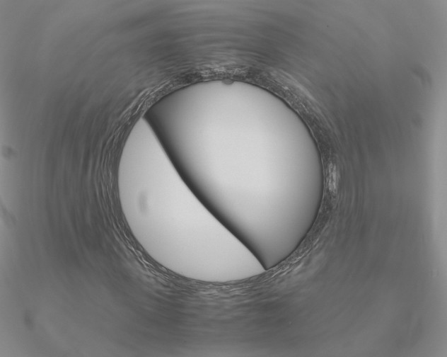 X0000090960915200708021118