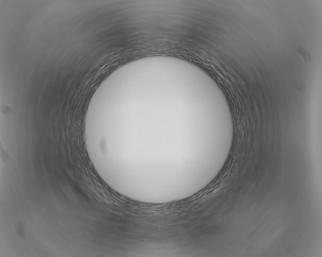 X0000090960916200708021118